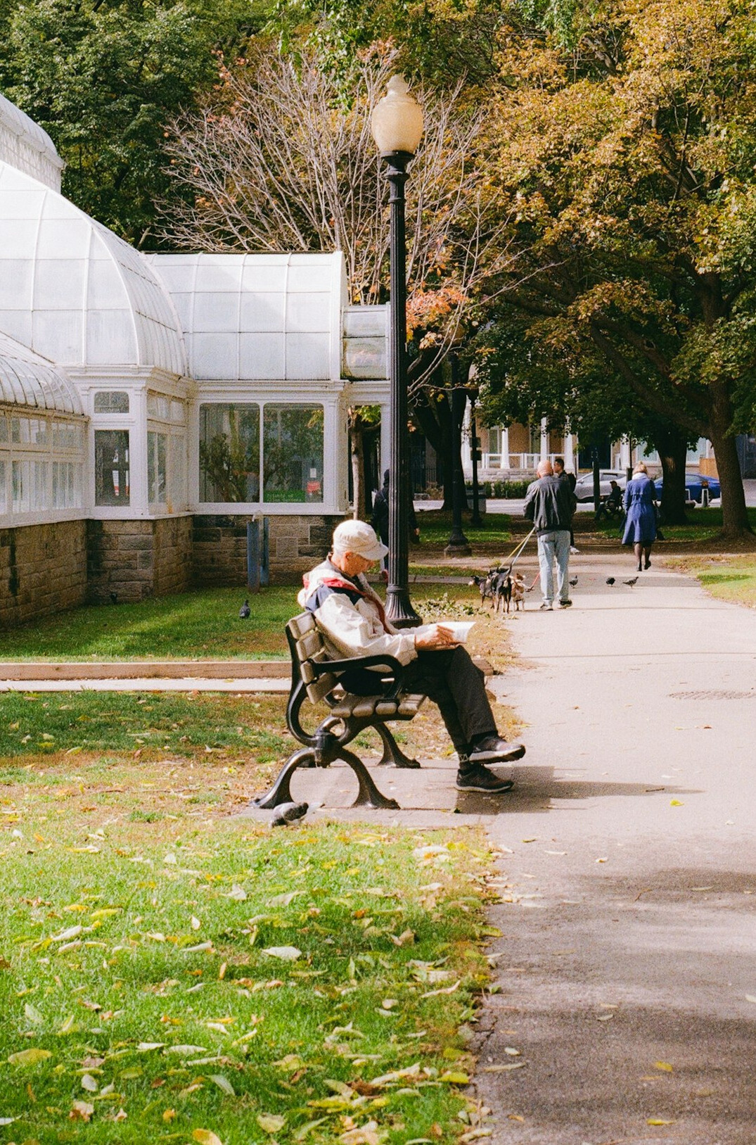 Elderly Chilean man sitting on a park bench reading a newspaper